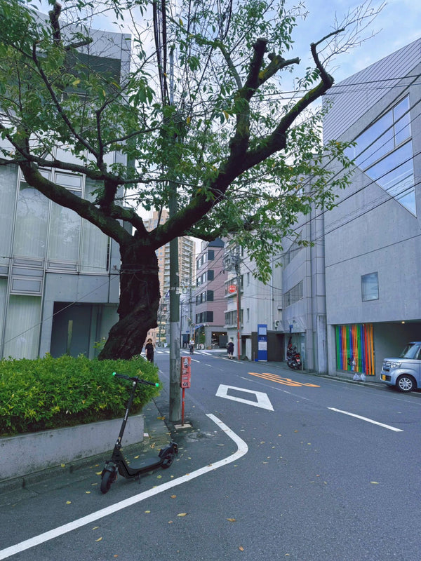 yuki 様の評価画像