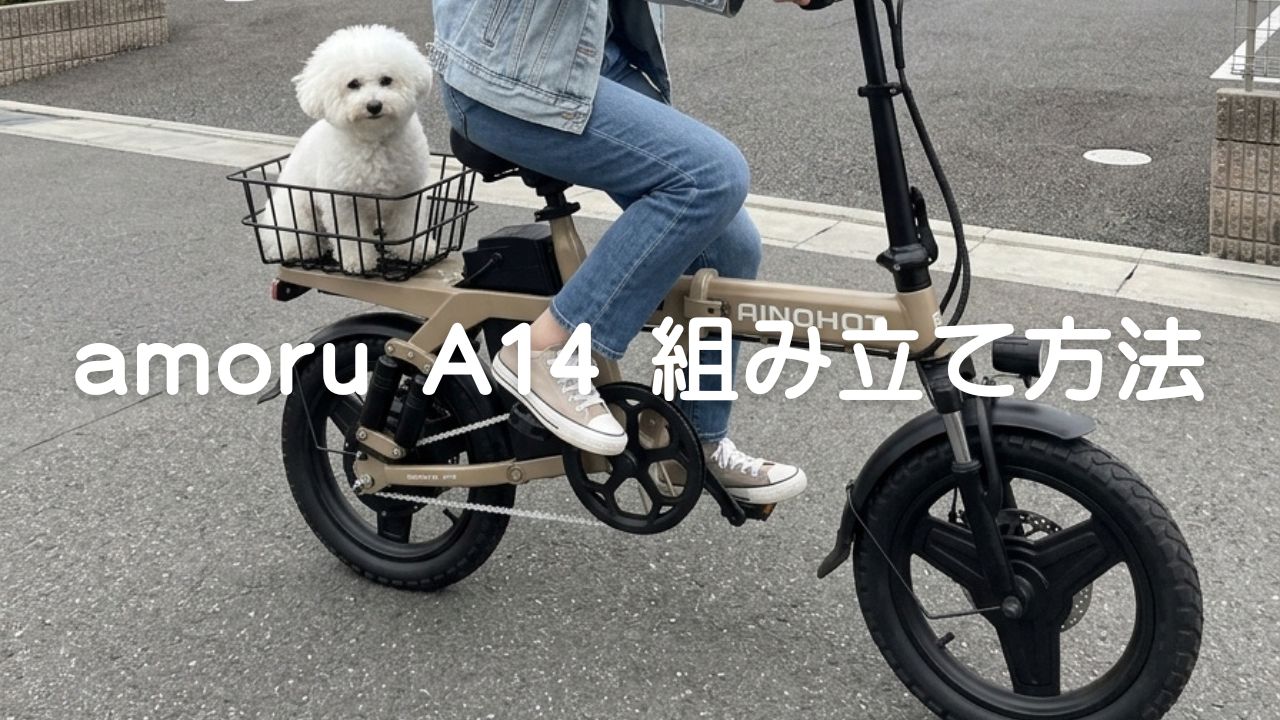 amoru_A14_thumbnail.jpg?v=